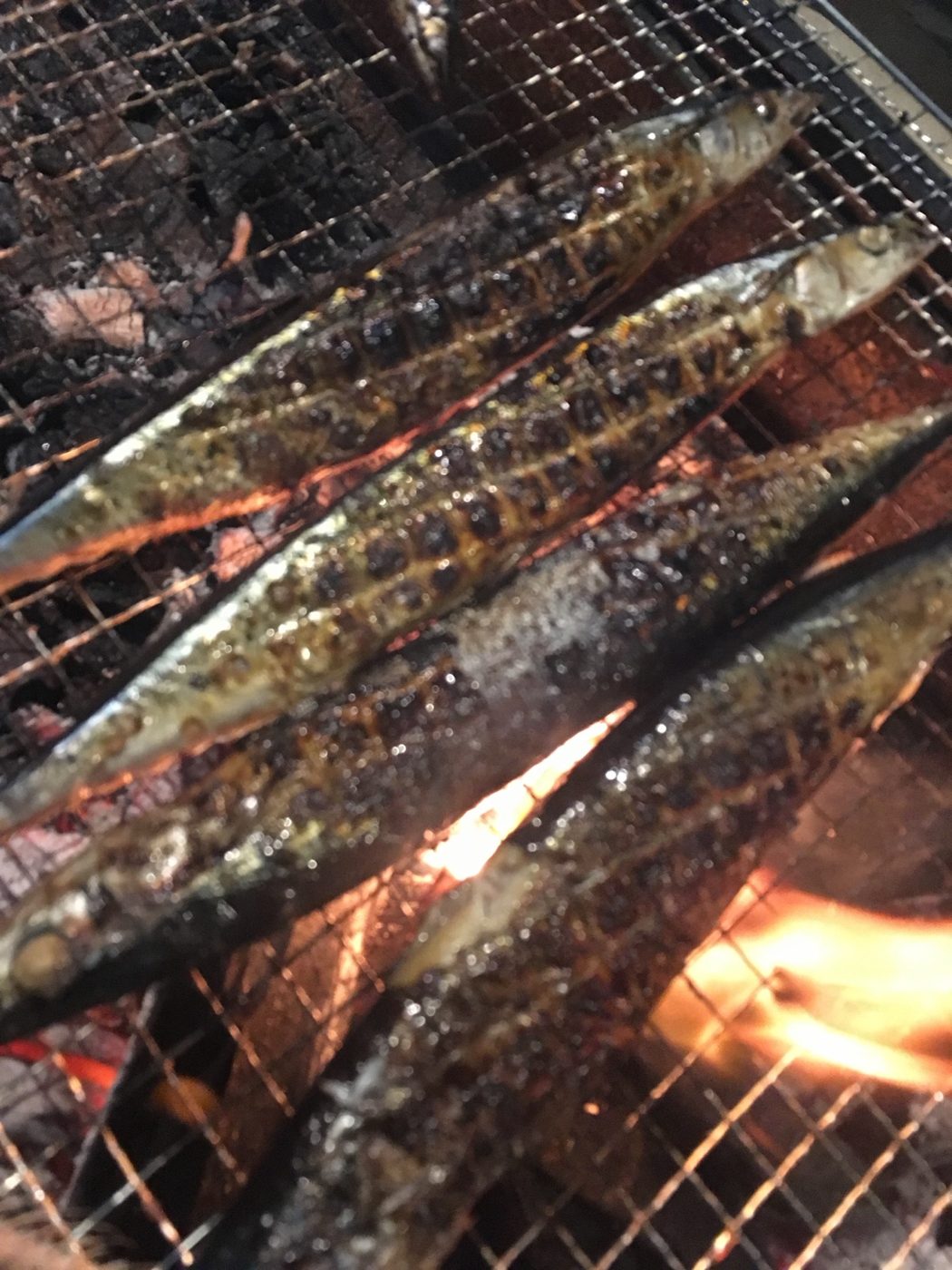 魚を炭火で焼く BBQ