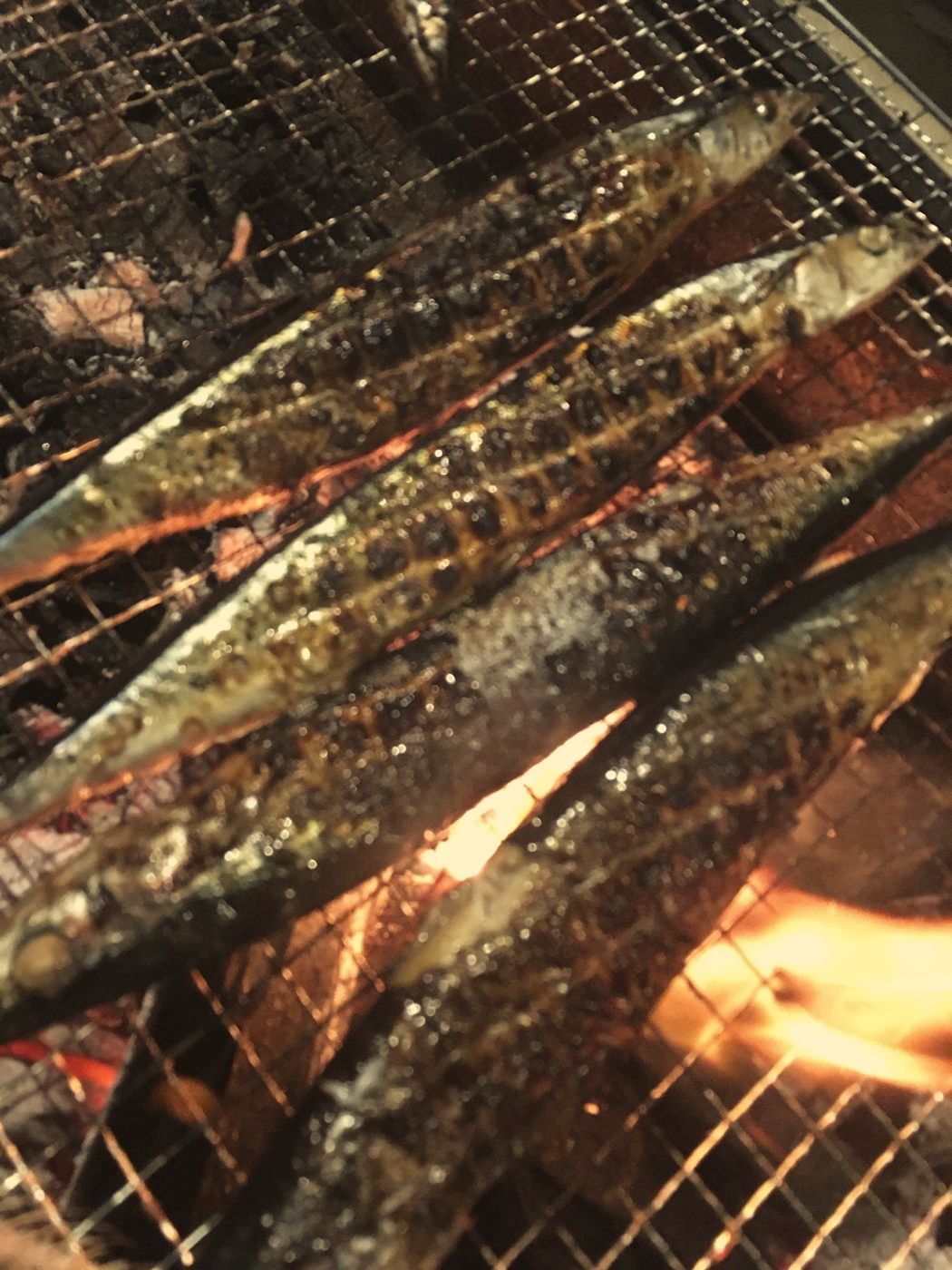 炭火で焼く魚