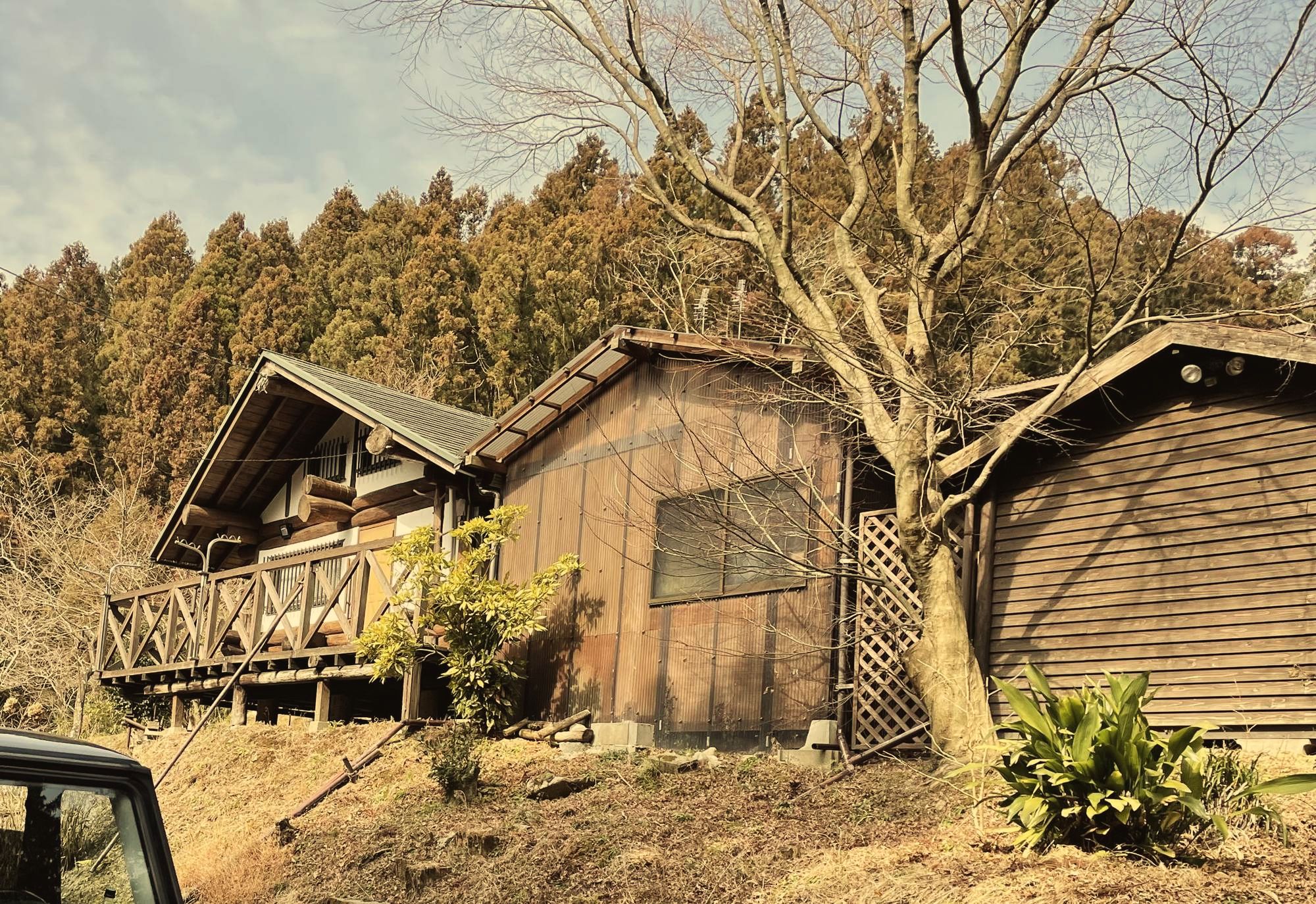 森の中の木のコテージ